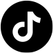 tiktokicon